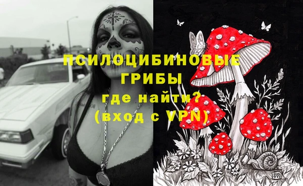 дурь Нефтегорск