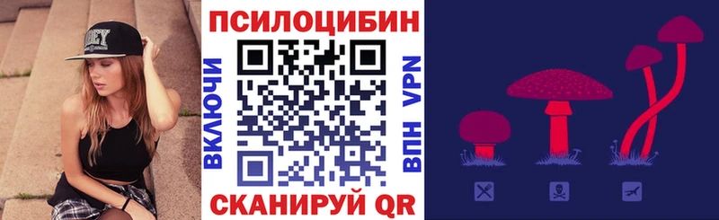 купить наркотики сайты  Слюдянка  МЕГА ссылки  Галлюциногенные грибы мицелий 